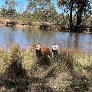 Meet your Posher, Lee